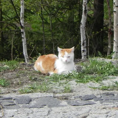 Séjour chez l'habitant Pod Siglanami